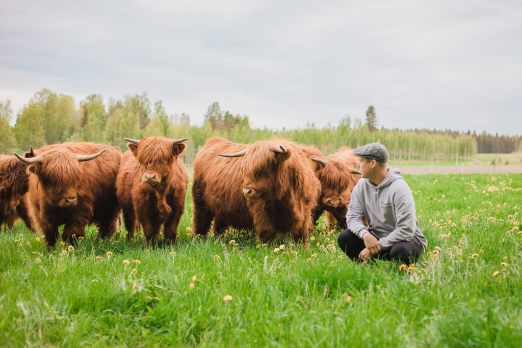 Tuomaan Highland